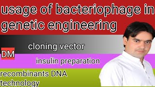 usage of bacteriophage in genetic engineering insulin preparation  recombinant DNA technology [upl. by Placido]