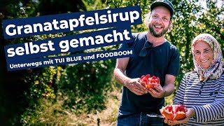 Granatapfel Sirup Selber Machen auf einer türkischen Granatapfelbaum Plantage [upl. by Namyac]