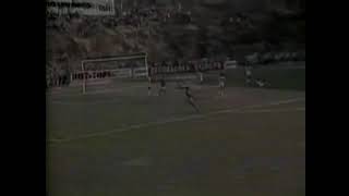 Serrano 1 x 2 Fluminense  Campeonato Carioca 1981 [upl. by Gavra]