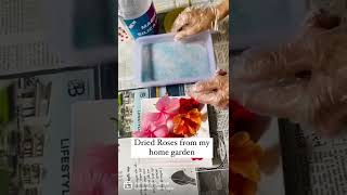 Dry flower for Resin how to use Silica gel Dry your own roses Resin art dry resin flowers [upl. by Sorilda]