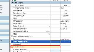 Cerner iView Charting Module 3 Conditional Logic and Reference Data [upl. by Aviv882]