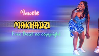 MAKHADZI TYPE BEAT PRO BY FLEX95BEATZ 🔥🔥🔥 [upl. by Nairbal199]