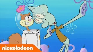 SpongeBob Schwammkopf  Patrick Bottom  Nickelodeon Deutschland [upl. by Aerdnahs]