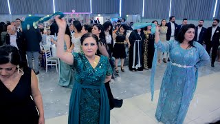 Hakim Lokman  Hebun amp Nalin dawat  Part 02  Fadi Studio  4K [upl. by Merl]