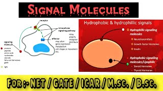 Signal molecules  Types of signaling molecules  Cell signaling [upl. by Noivad]