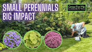 Planting Three Compact Perennials With Big Garden Impact 🍁 Fall Planting For Season Long Color [upl. by Bebe]