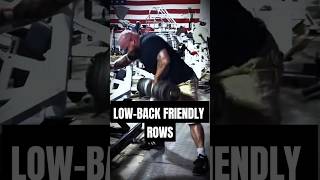 Best Lower Back Friendly Rowing Movements [upl. by Anelleh722]