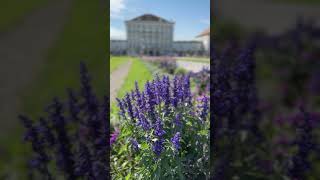 Nymphenburg Palace Munich August 2nd 2024 [upl. by Nnylesor274]