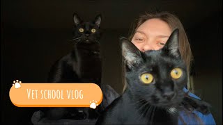 Vet school vlog  a day in my life study for exams pharmacology epidemiology [upl. by Bara]