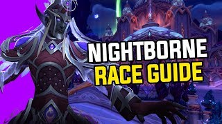 Worst Allied Race Battle For Azeroth Nightborne  Complete Race Explanation amp Guide [upl. by Schinica]