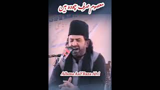 Masoom Sirf 14 Hain Allama Nasir Abbas Multanshorts viralvideo whatsappstatus [upl. by Ajin]