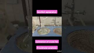 Soxhlet apparatus estimation of crude fat proximate analysis animalnutrition [upl. by Eelrahc]