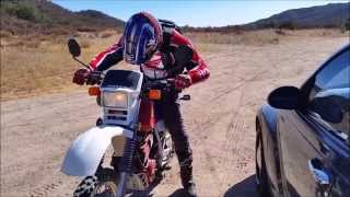 Honda xl600r in Action [upl. by Crowe]