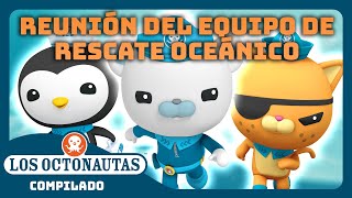 Los Octonautas  🐻‍❄️😼🐧 ¡Reunión del equipo de rescate oceánico 🌊  Episodios Completos  Compilado [upl. by Abbotsen]