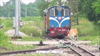 DARJEELING TOY TRAIN Full Journey  DARJEELING HIMALAYAN RAILWAYS  Indian Railways [upl. by Gibson548]