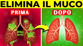 I 10 Migliori Alimenti Per Eliminare Il Muco E Purificare Naturalmente I Polmoni [upl. by Redliw]