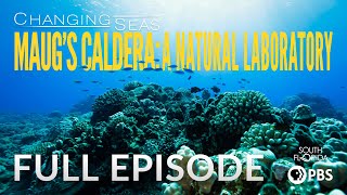 Maug’s Caldera A Natural Laboratory  Full Episode [upl. by Bohrer890]