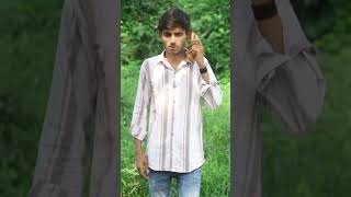 ￼ Deshi Dog 🐶  funny youtubeshorts viralvideo [upl. by Elimac]