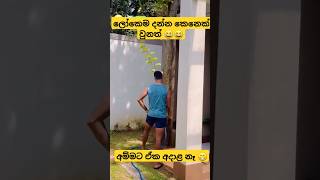 අම්මට ඒක අදාළ නෑ 😂😂 shortvideos ytshorts shorts [upl. by Zuliram]