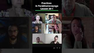 Parabhairavayogābhyāsāḥ  Practices in Parabhairavayoga  Lesson 201 [upl. by Truman]