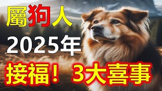 2025生肖運勢，十二生肖屬狗2025年三大喜事，分別是什麼喜事，2025年，屬狗的朋友过去運勢相比其他生肖低迷許多，十二生肖當中，許多屬相的命運會迎來全新的變化，屬狗雖然在2024年運勢不好 [upl. by Eslehc959]