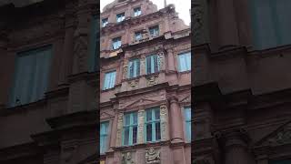 Market square and Church of the Holy Spirit in Heidelberg Germany travel nature birds duck [upl. by Cirre997]