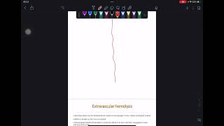 Intravascular And Extravascular Hemolysis [upl. by Euh]