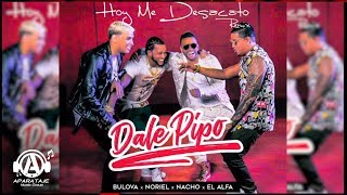 Bulova X Noriel X Nacho X El Alfa  HOY ME DESACATO  DALE PIPO Remix [upl. by Aneleasor]