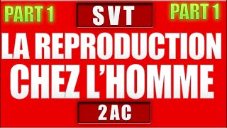 la reproduction chez lhomme svt 2 ac partie 1 [upl. by Idnac]