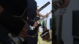 Kurtizány z 25 avenue  Vampíra guitar cover [upl. by Sousa]