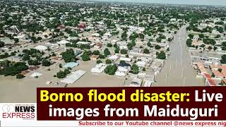 Borno flood disaster Live images from Maiduguri [upl. by Gordon]