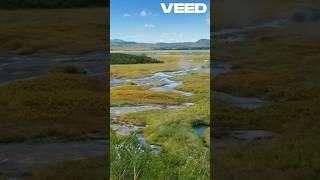 Hidden Danger Exploding Lake Nyos Revealed 💣💥 NaturalDisasters LakeNyos Danger [upl. by Eedrahs]