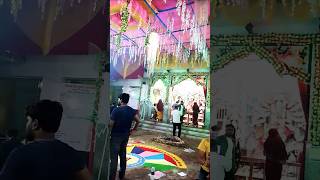 Aragini Nandini Durga Puja special shortvideo trending [upl. by Lauzon]