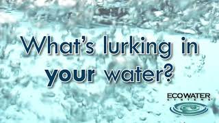 Get A Free Water Test With Ecowater Systems of MidMissouri [upl. by Erdnad420]