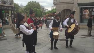 Galician Bagpipers [upl. by Lledualc584]