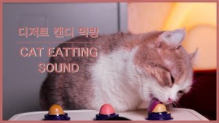 ASMR 고양이 디저트 캔디 먹방 ㅣ CAT EATING SOUND [upl. by Yeslehc]