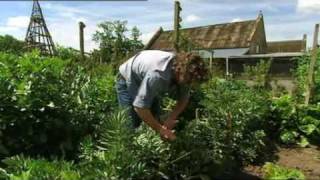 Hugh FearnleyWhittingstall talks about the Eat Seasonably Campaign [upl. by Latsyrc]