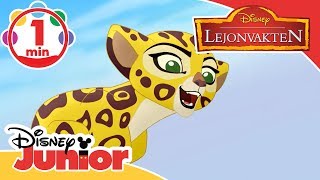 Lejonvakten  Musik Så ser jag som mest 🎶  Disney Junior Sverige [upl. by Hamrnand]