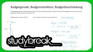 Budgetgerade Budgetrestriktion Budgetbeschränkung  Volkswirtschaftslehre [upl. by Alo408]