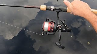 Penn Fierce III 4000 Live Liner Review [upl. by Larimor]