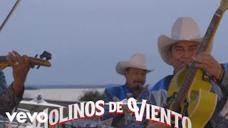 LOS LIRICOS JR  Molinos de viento Official Music Video [upl. by Berlyn]