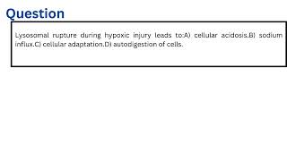 Lysosomal rupture during hypoxic injury leads to [upl. by Ennavoj803]