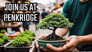 Come with us to the new Bonsai Event at Penkridge Markets [upl. by Winnie466]