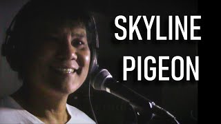 SKYLINE PIGEON  ELTON JOHN Smoke and Mirror Cover [upl. by Phemia652]