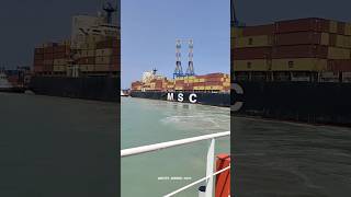 Container load and unloadMSC ENTRY PORT VIEW MERCHANTNAVY container ship shorts subscribe [upl. by Ulrikaumeko154]