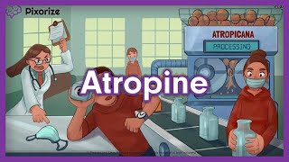 Atropine Homatropine Tropicamide Mnemonic for USMLE [upl. by Toomay]