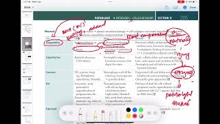 Coagulative Necrosis Vs liquefactive Necrosis Pathology 11  First Aid USMLE Step 1 in UrduHindi [upl. by Macmullin]