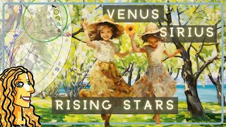 Venus Retrograde amp Sirius Rising Stars  All Signs Tarot  August 2023  2024 [upl. by Baler281]