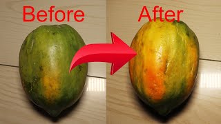 How to Ripen Papaya at Home [upl. by Joycelin]