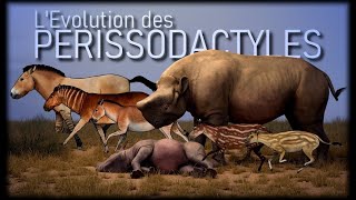 Evolution des chevaux et rhinocéros [upl. by Keppel]